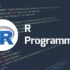 Cara Belajar Bahasa pemprograman R Untuk Pemula