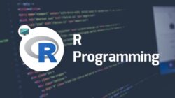 Cara Belajar Bahasa pemprograman R Untuk Pemula